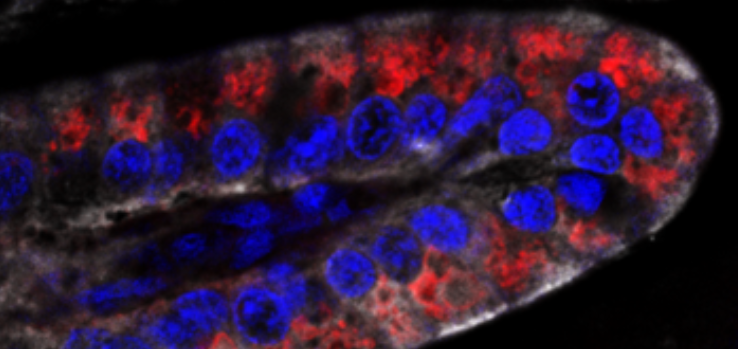 2025-09-12 09_17_33-Blogpost_LAkintche_reviewed.docx