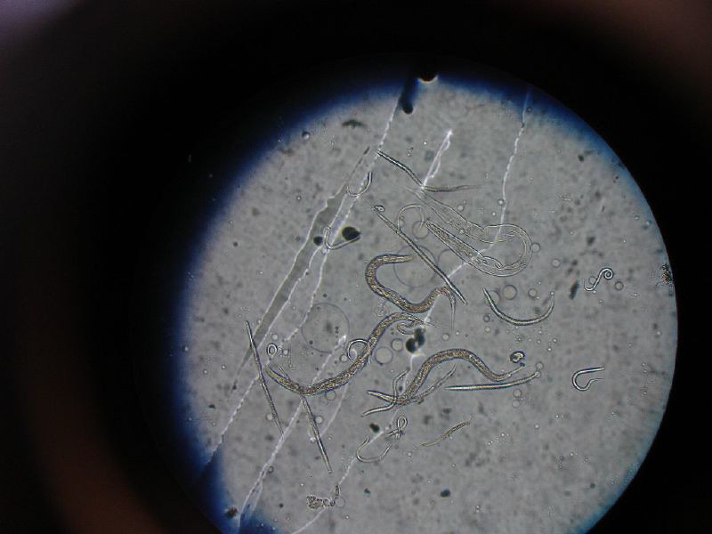 92789236_2d6959b47f_c