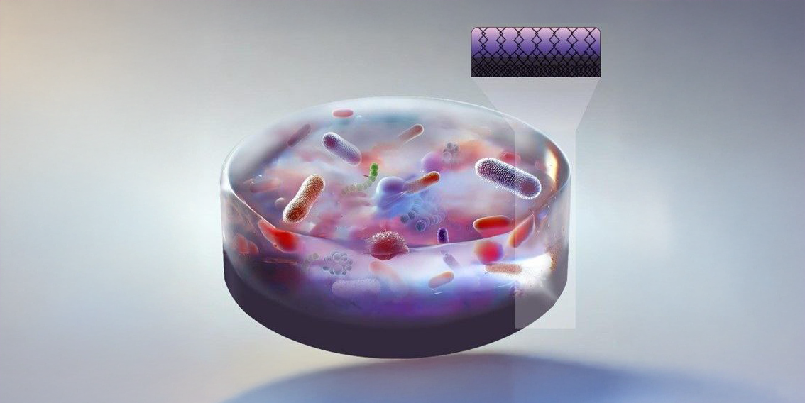 cover-e176356859e0714